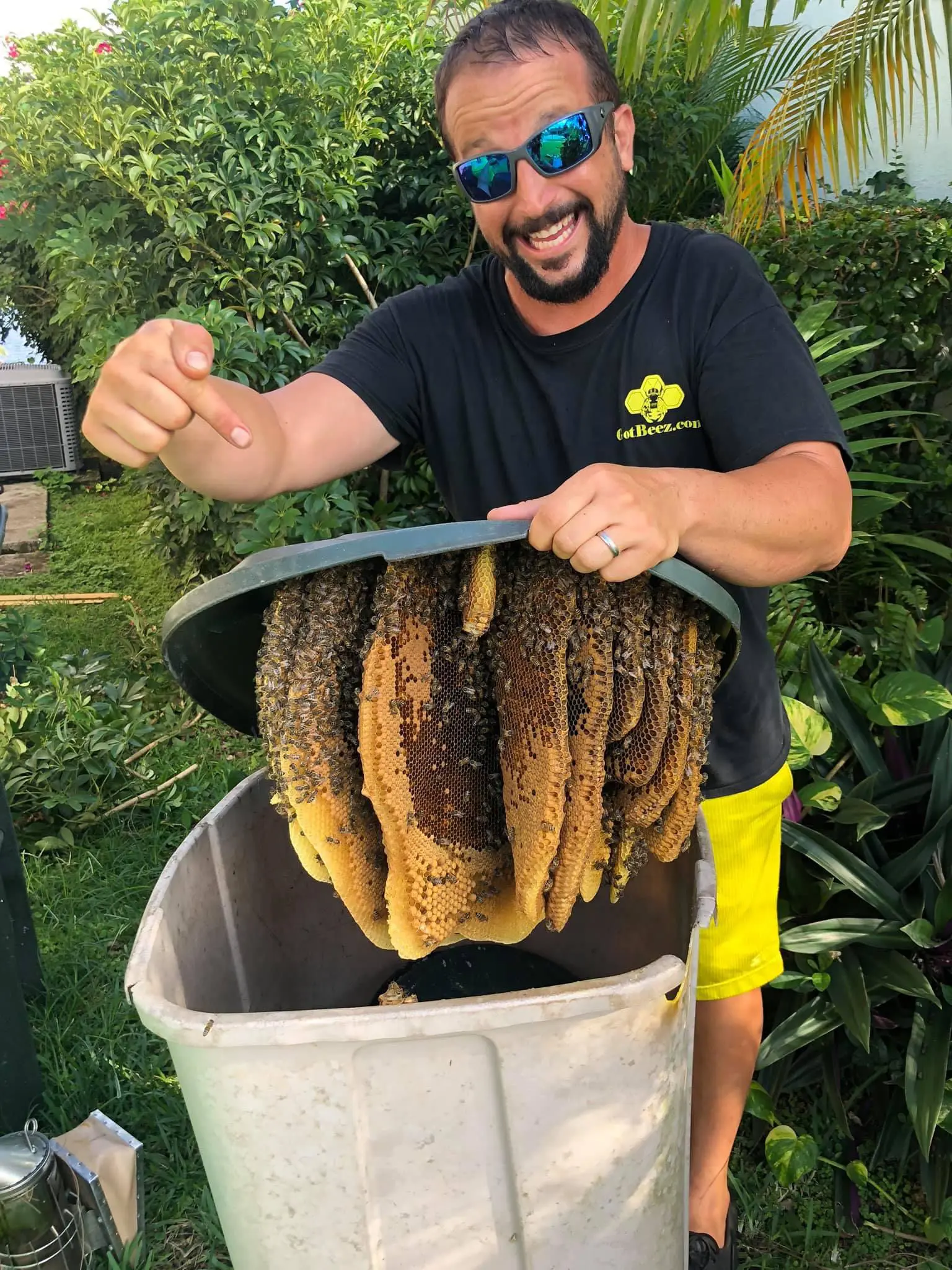 fort-lauderdale-bee-exterminator