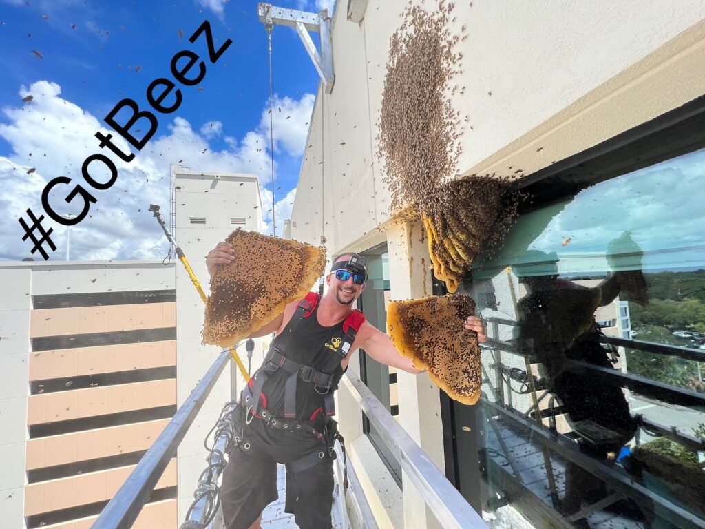 utility bee removal fort lauderdale