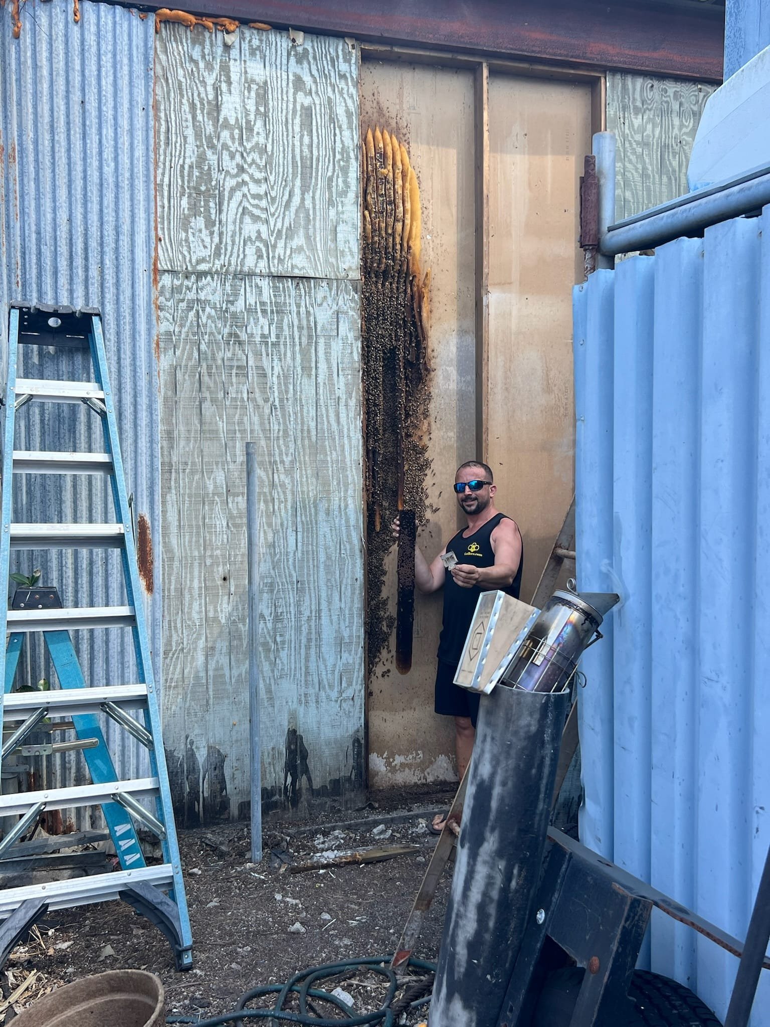 Sealed area after hive removal