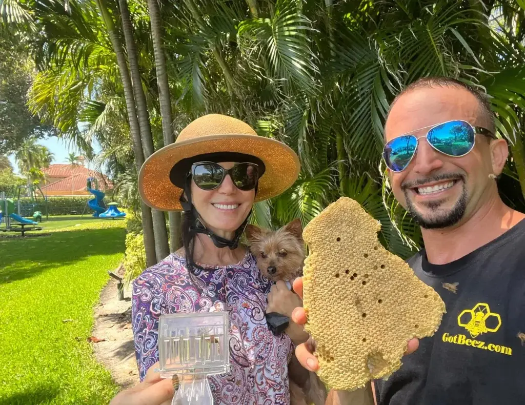bee removal in parkland florida