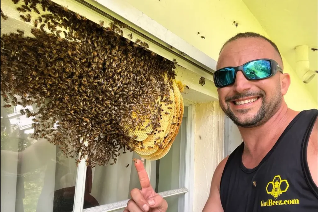 live bee removal in fort lauderdale
