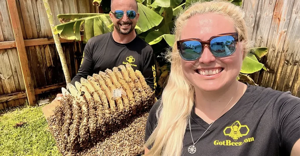 live bee removal near me in fort lauderdale