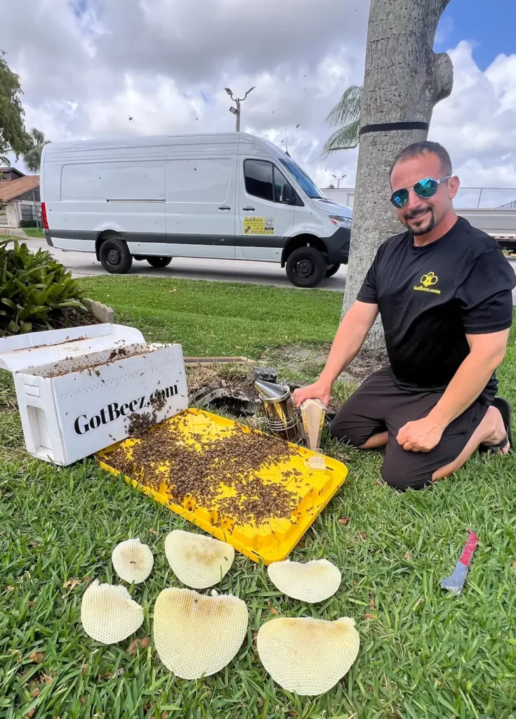 Removing Bees from a Water Meter in west palm beach customer review