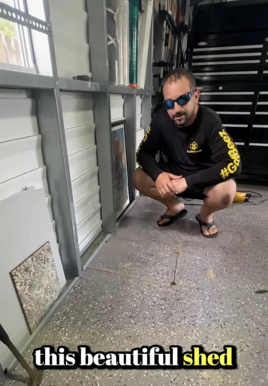 live bee removal from a shed in pompano beach