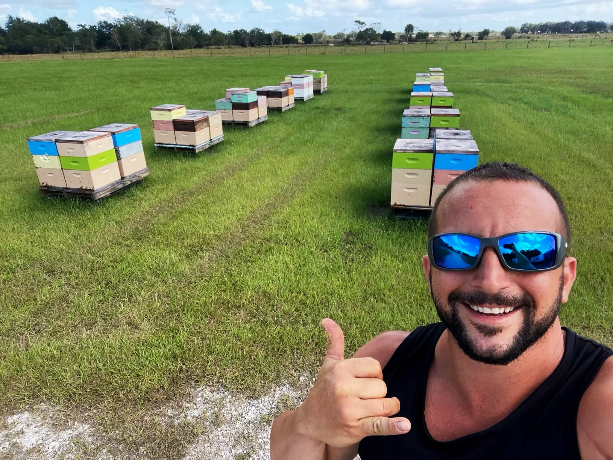 local bee keeper in fort lauderdale