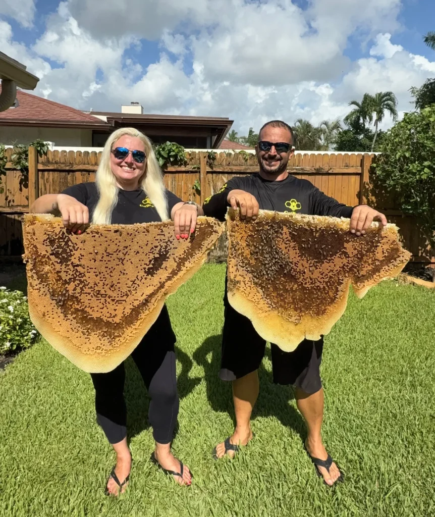 local bee removal fort lauderdale