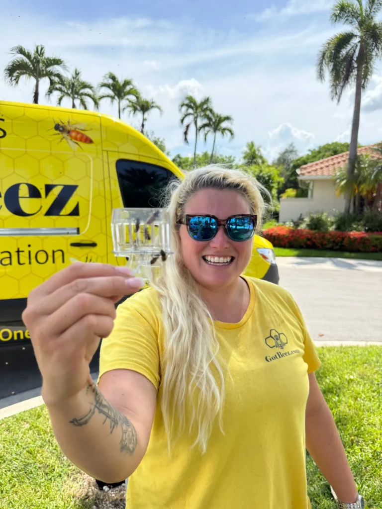 queen bee removal from gotbeez