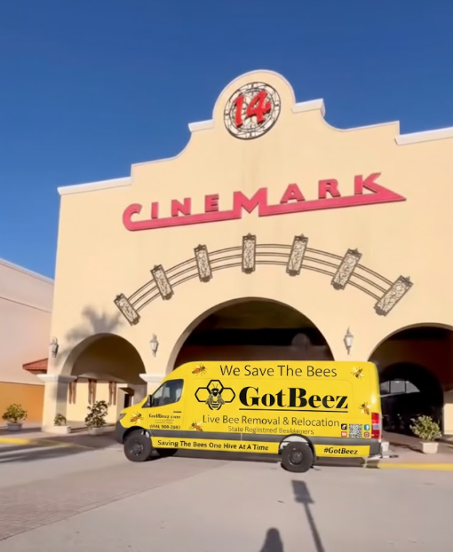 Cinemark Boynton Beach roof hive removal