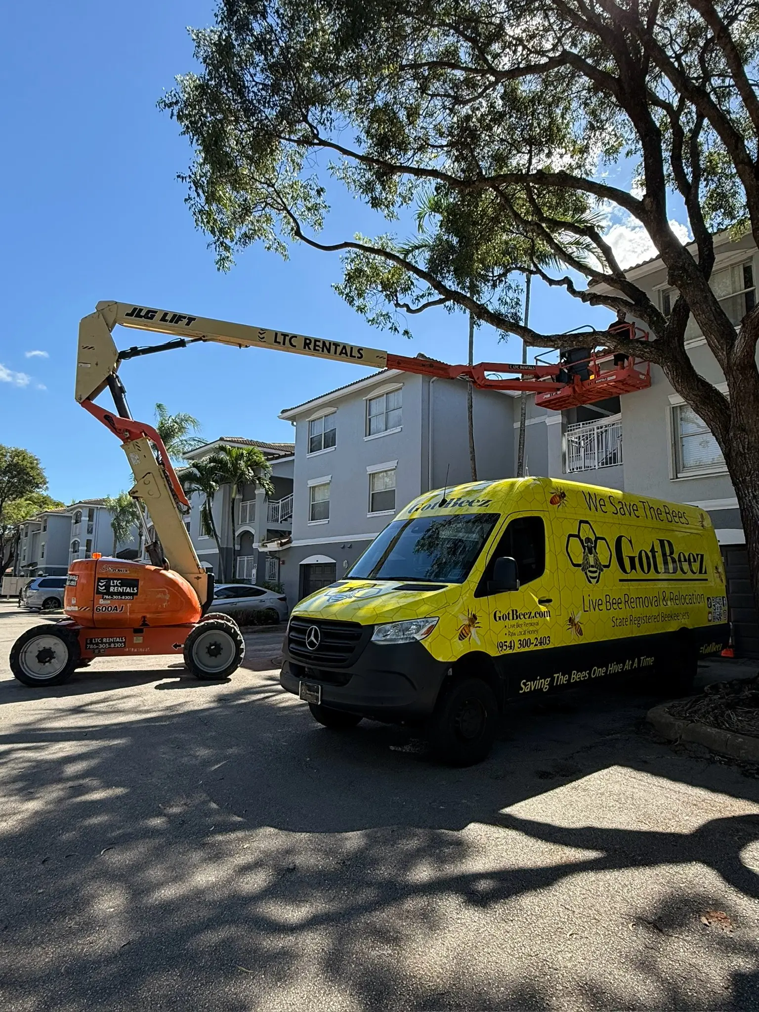 Bee relocation near apartment facade