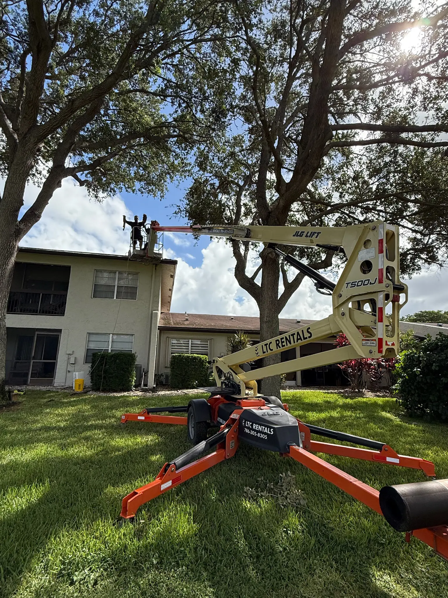 Bee relocation at apartment building