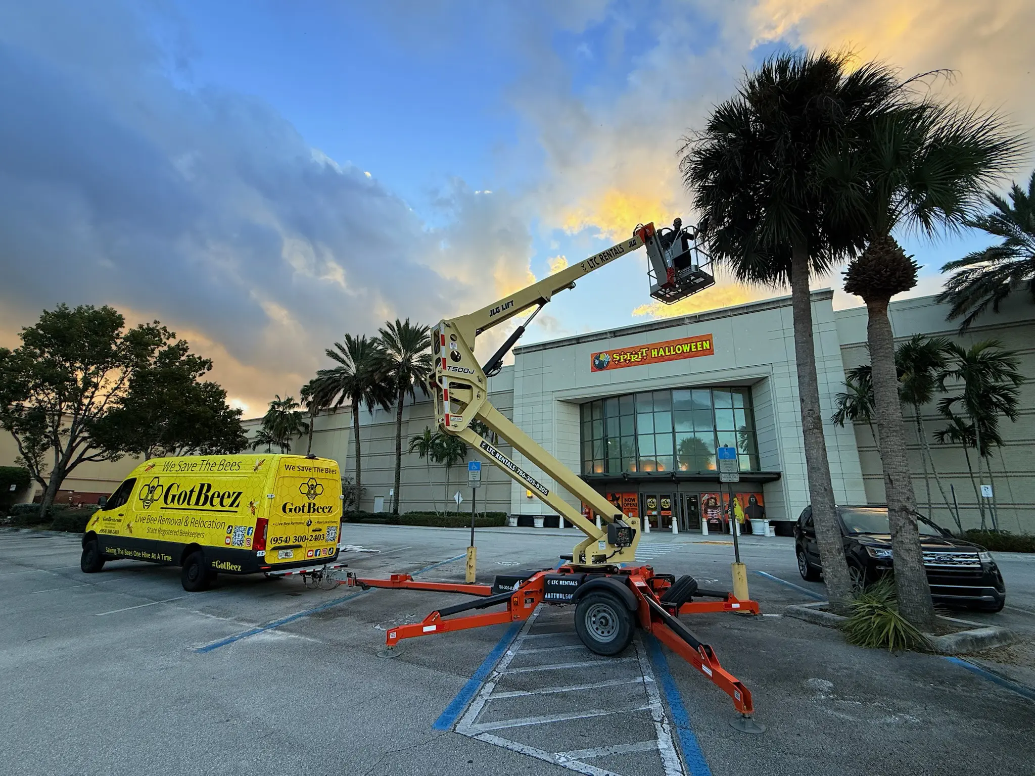 Commercial bee removal at a shopping center