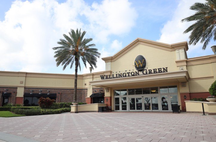 Multiple hive removals at Mall of Wellington Green