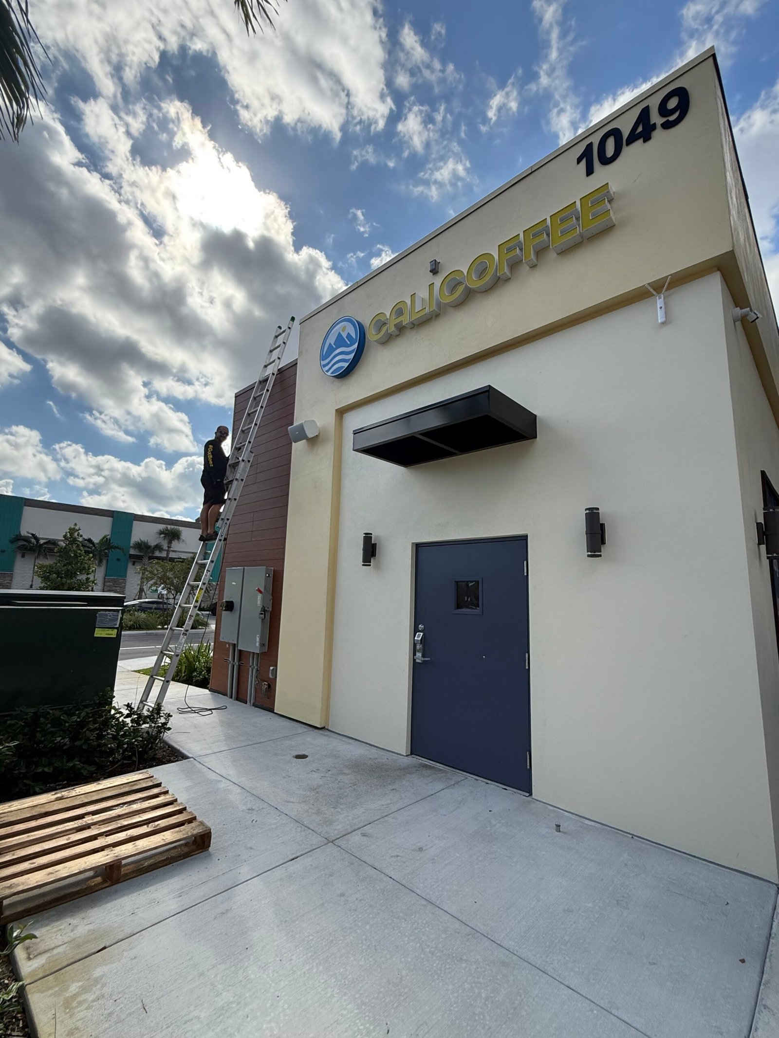 commercial-building-bee-removal