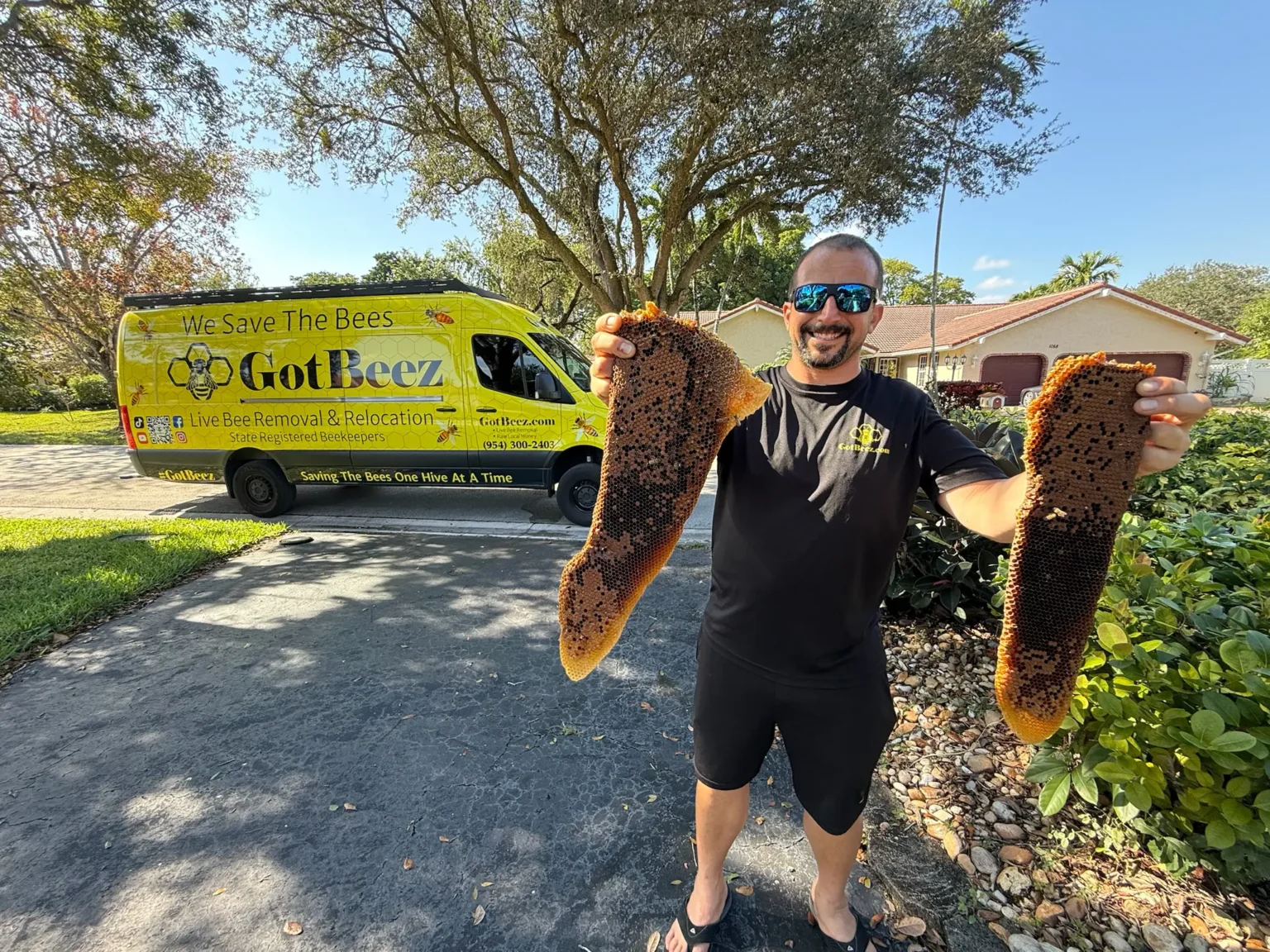 GotBeez live bee removal and honeycomb extraction in South Florida