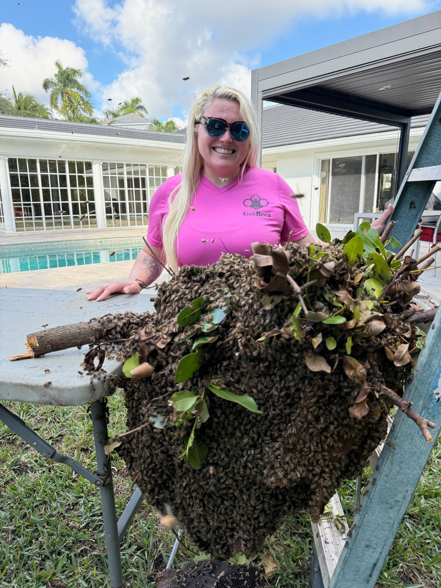 Bee Removal Cost