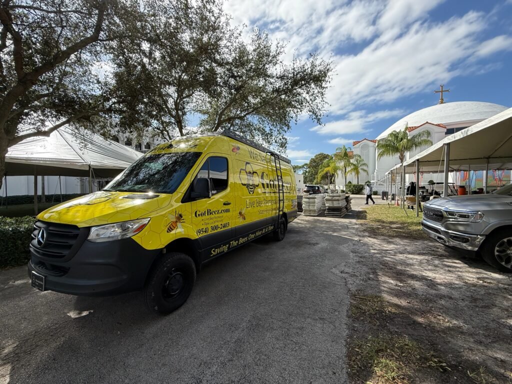 gotbeez-live-bee-removal-fort-lauderdale-broward-county-5