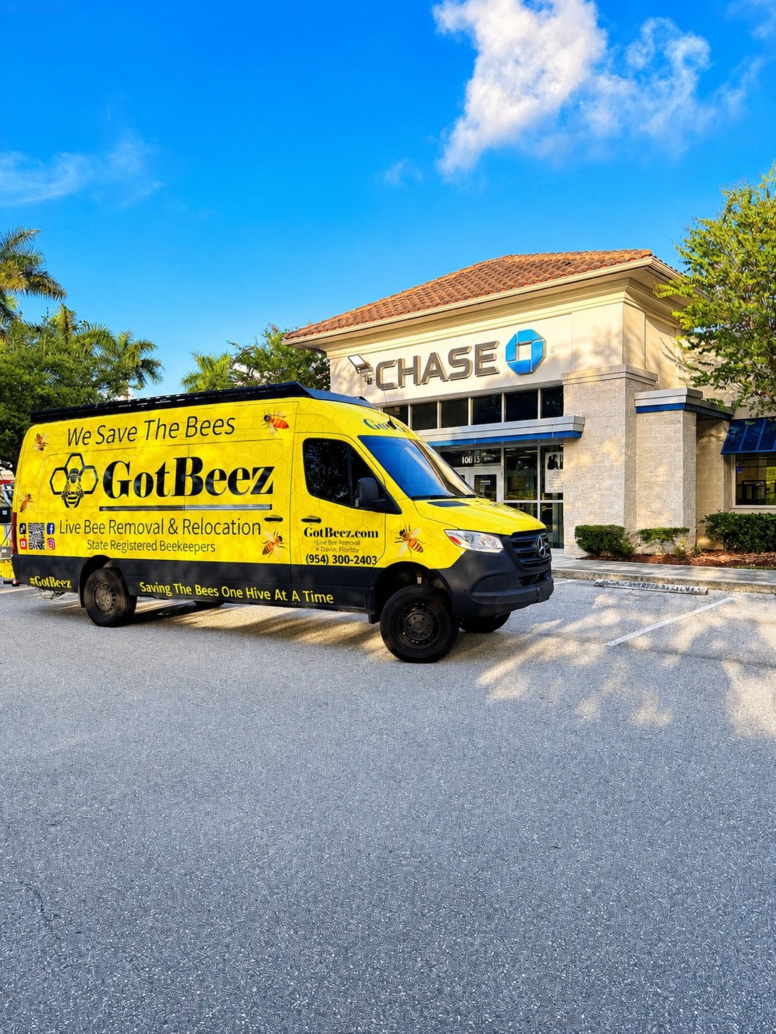 GotBeez live bee removal in Boca Raton Florida