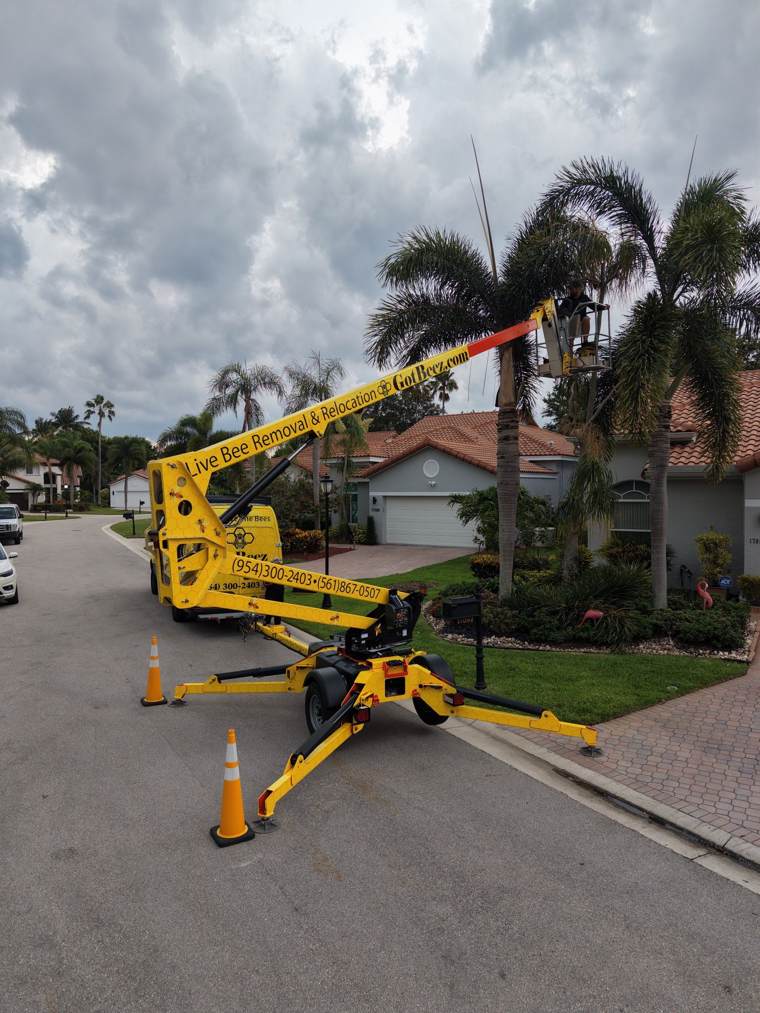 GotBeez live bee removal in Fort Lauderdale Broward County