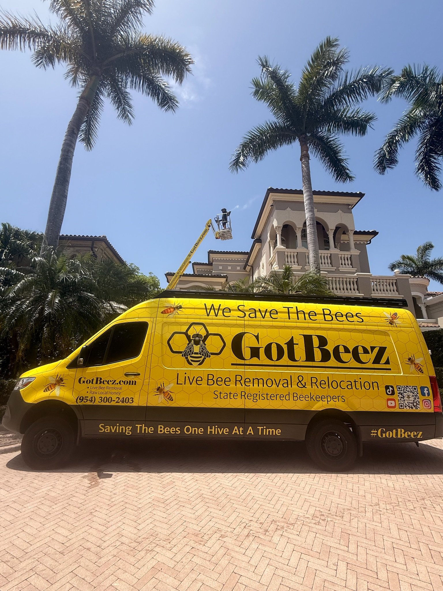 GotBeez live bee removal from home wall in Coral Springs