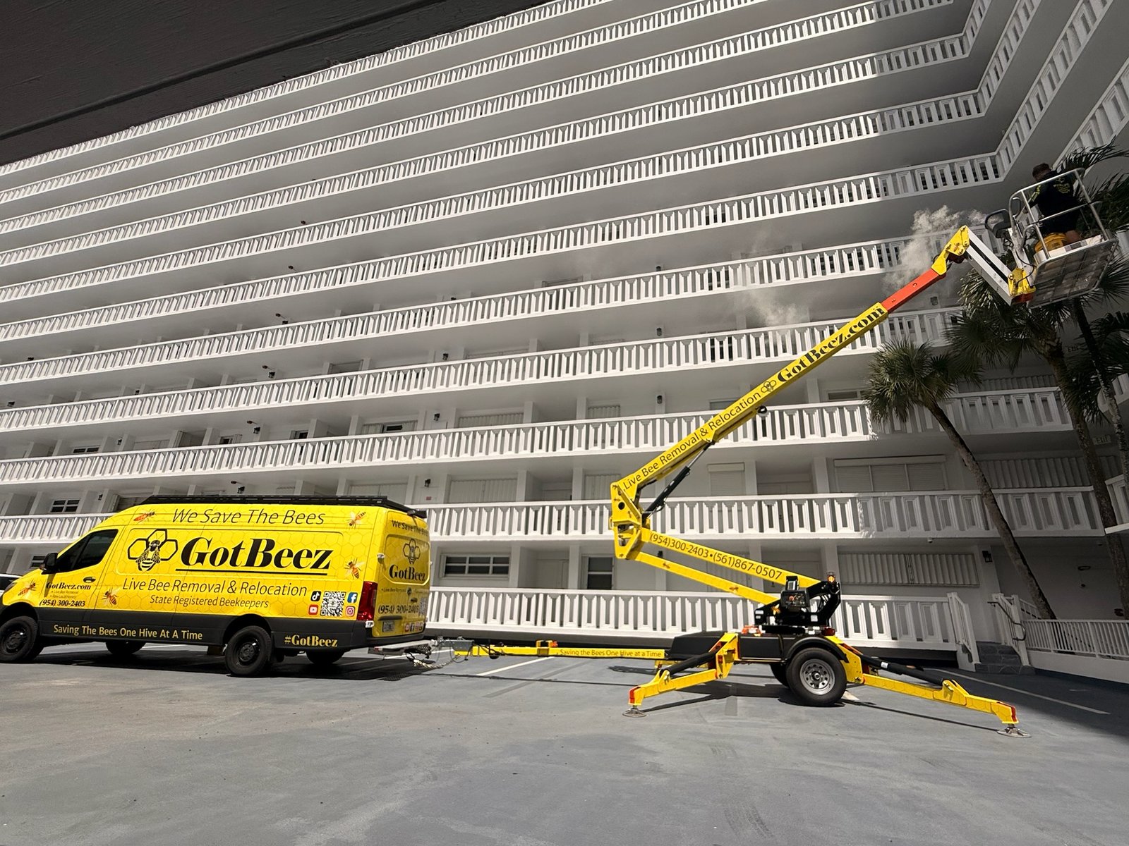 Commercial no-kill bee removal in South Florida