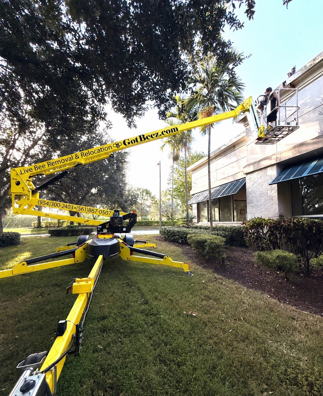 commercial live bee removal fort lauderdale by gotbeez on lift