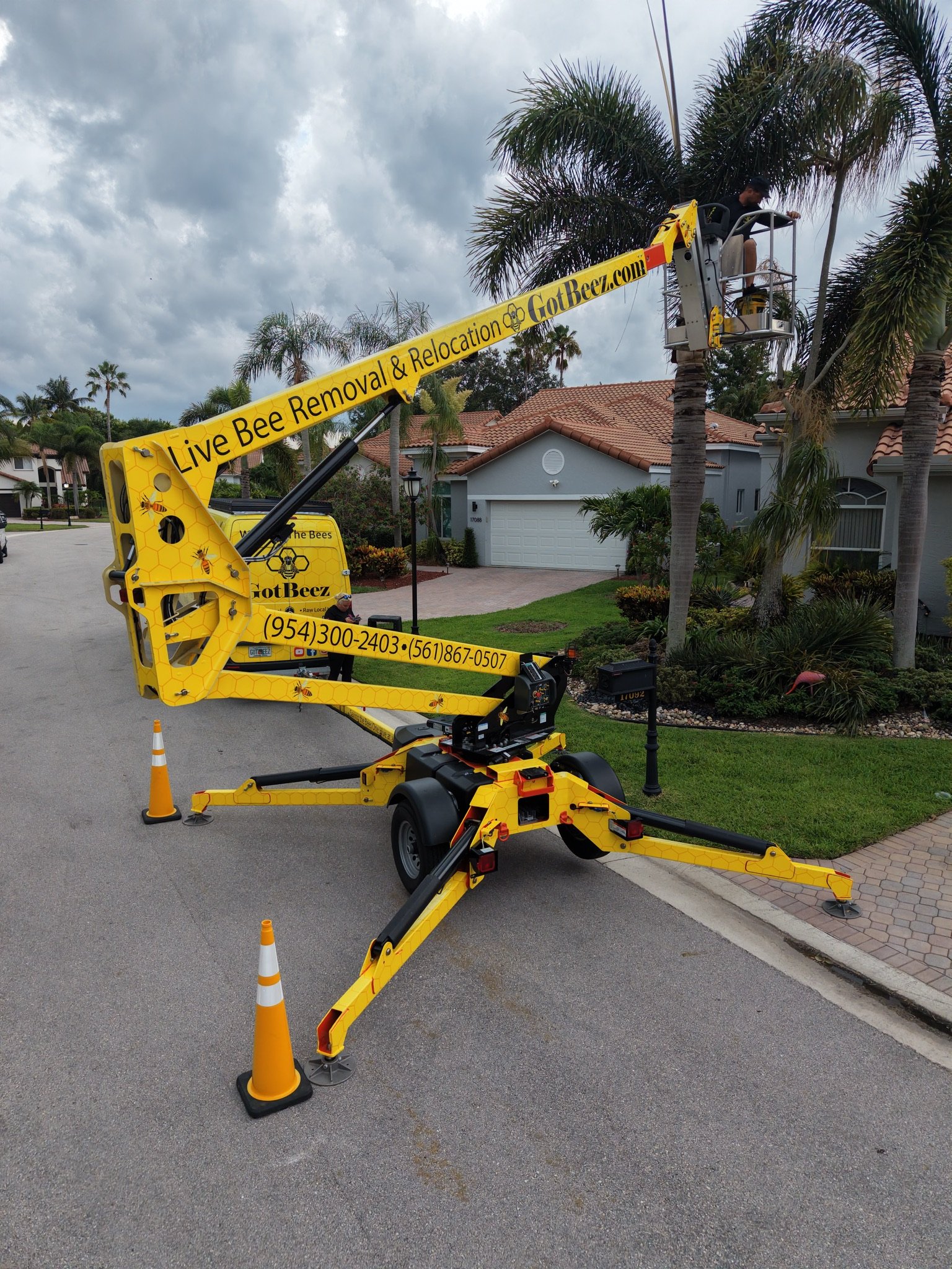Live bee removal from trees in South Florida
