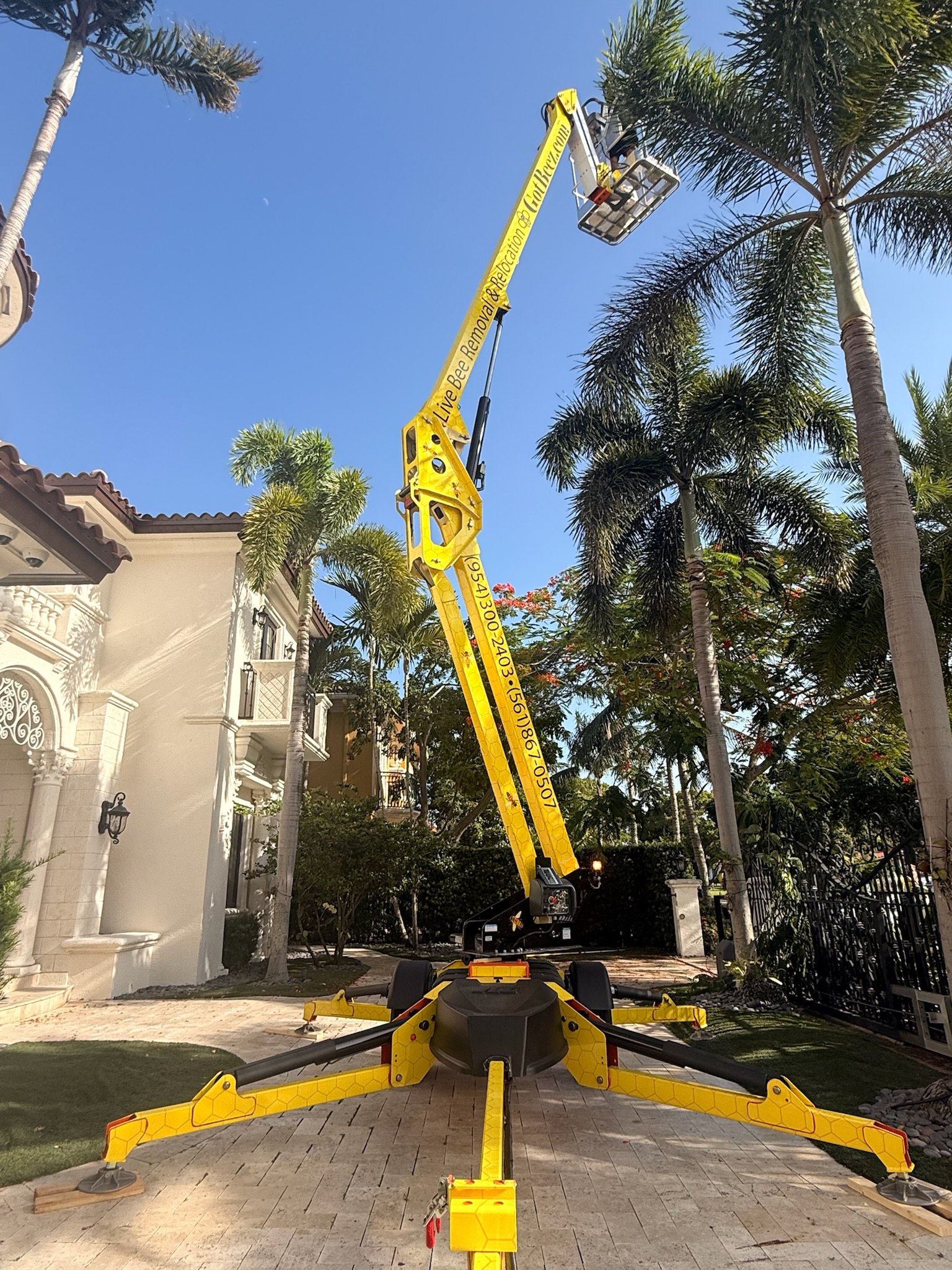 GotBeez bee removal project in South Florida