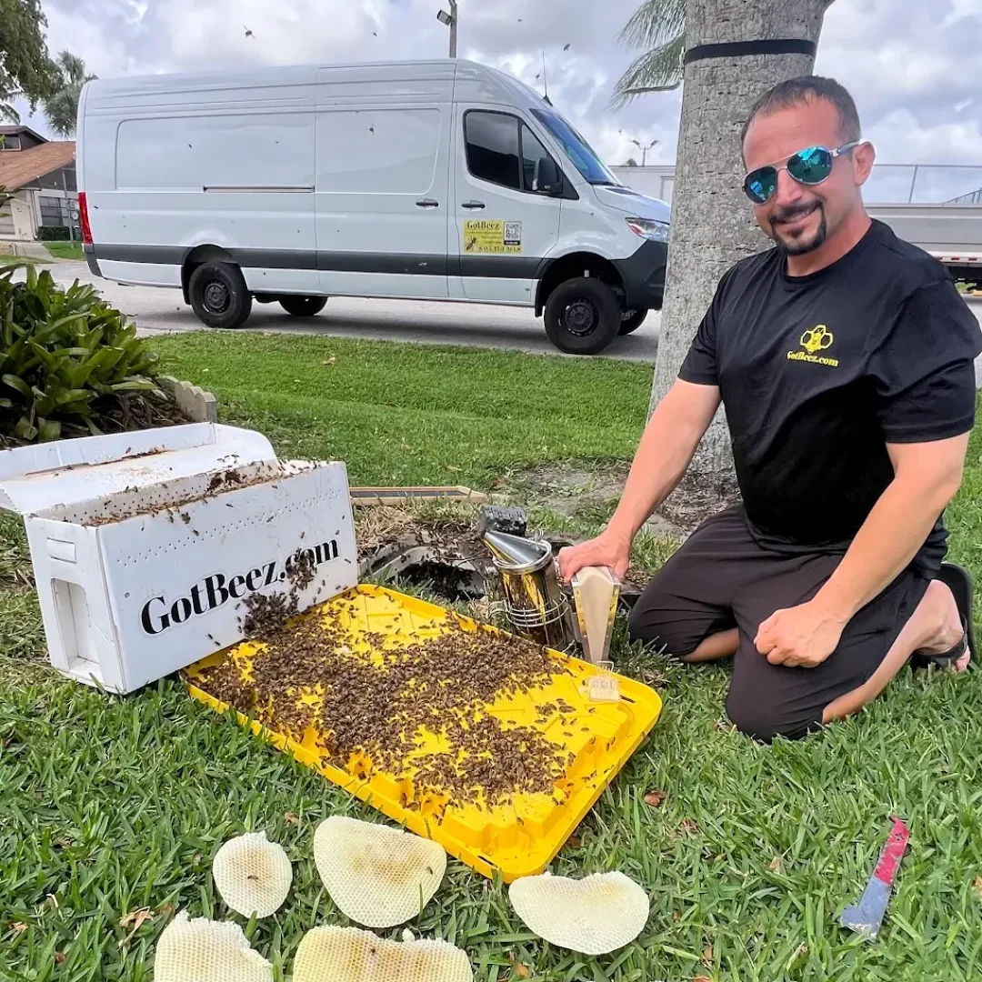 Removing Bees from a Water Meter in west palm beach customer review